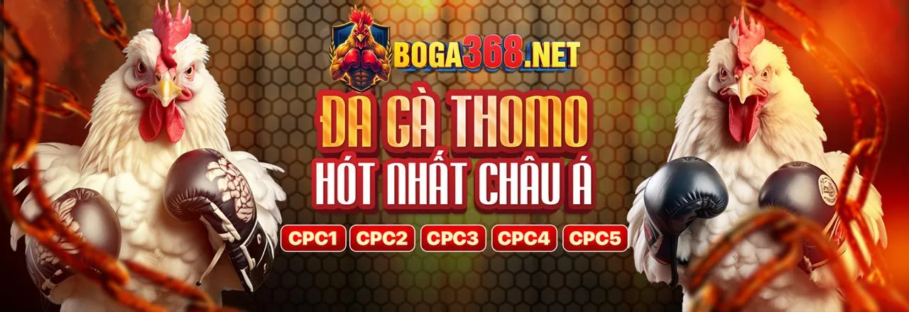 ao 88 nền tảng game bài trực tuyến uy tín