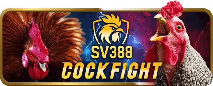 Cơ chế thu thập và bảo vệ dữ liệu tại ao 88